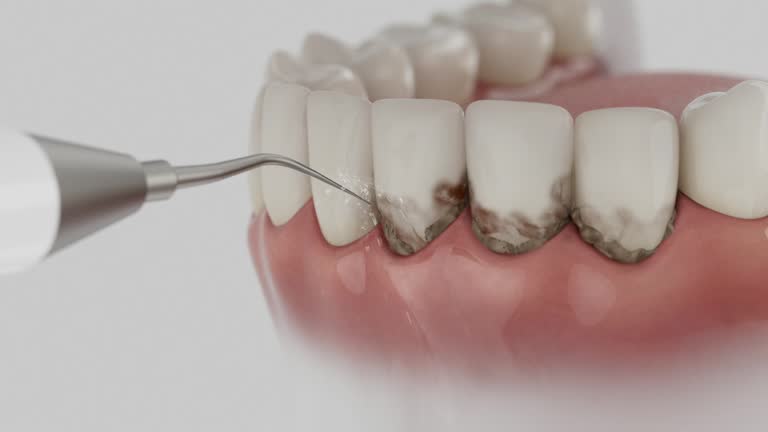 Reliable Dental contractor in Littlerock, CA by Dentist Open Now